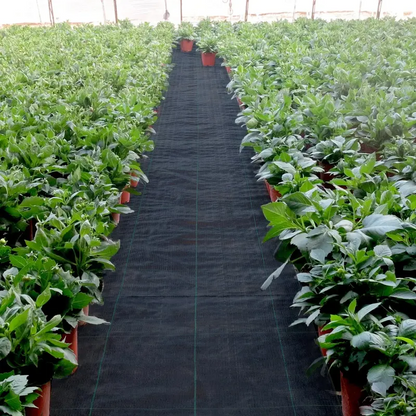 Heavy Duty Woven Weed Barrier Fabric, 6.5FT x 300FT Landscape Fabric Roll, 1800 Sq Ft Ground Cover for Gardens, Flower Beds and Outdoor Landscaping